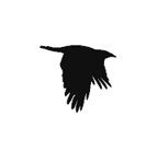 Иллюстрация к книге — Ведьма [i_091.jpg]