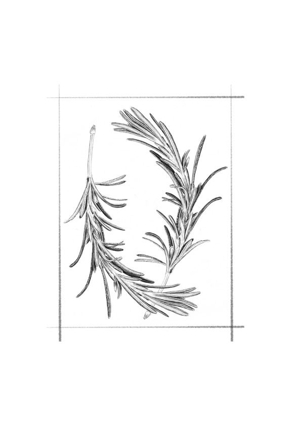 Иллюстрация к книге — Ведьма [i_092.jpg]