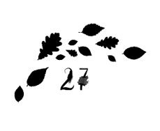 Иллюстрация к книге — Ведьма [i_093.jpg]