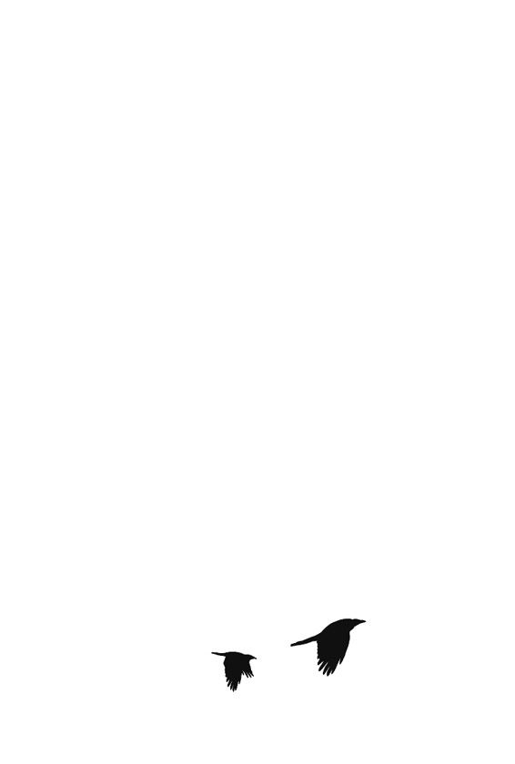 Иллюстрация к книге — Ведьма [i_094.jpg]