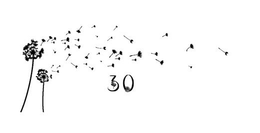 Иллюстрация к книге — Ведьма [i_100.jpg]