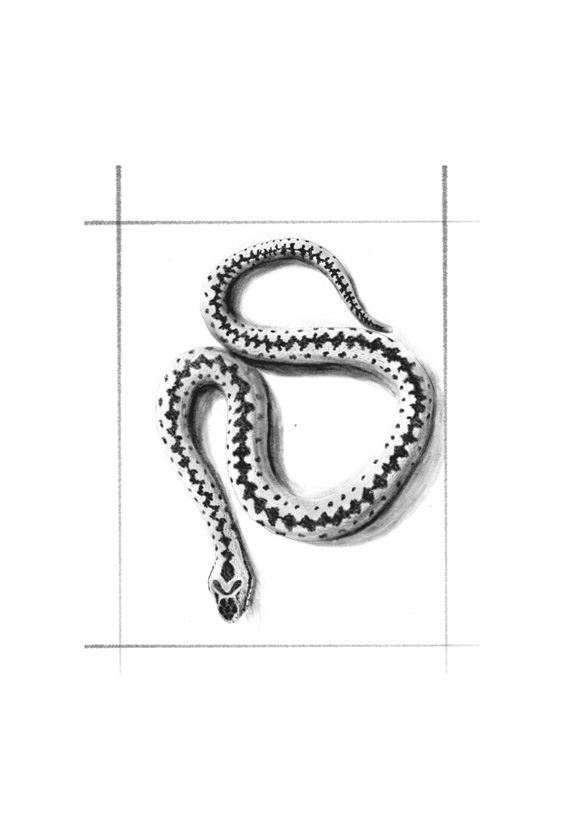 Иллюстрация к книге — Ведьма [i_101.jpg]