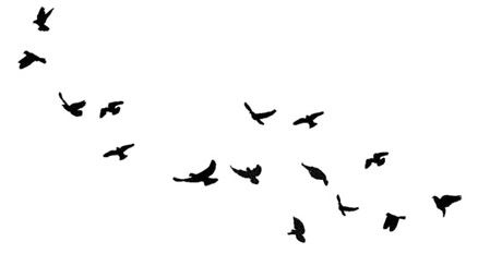 Иллюстрация к книге — Ведьма [i_116.jpg]