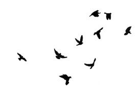 Иллюстрация к книге — Ведьма [i_118.jpg]