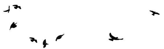 Иллюстрация к книге — Ведьма [i_121.jpg]