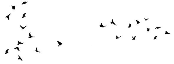 Иллюстрация к книге — Ведьма [i_122.jpg]