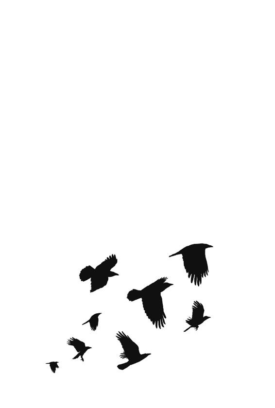 Иллюстрация к книге — Ведьма [i_125.jpg]