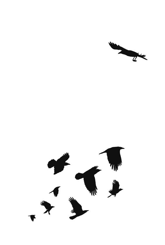 Иллюстрация к книге — Ведьма [i_132.jpg]