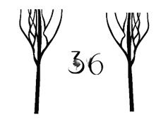 Иллюстрация к книге — Ведьма [i_134.jpg]