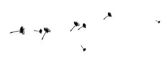 Иллюстрация к книге — Ведьма [i_140.jpg]