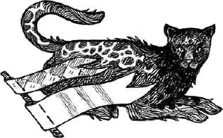 Иллюстрация к книге — Арена заблудших [i_006.jpg]