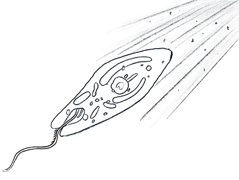 Иллюстрация к книге — Просто о мозге. Как знания о мозге помогают получить больше [i_003.jpg]