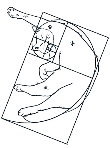 Иллюстрация к книге — Просто о мозге. Как знания о мозге помогают получить больше [i_016.jpg]