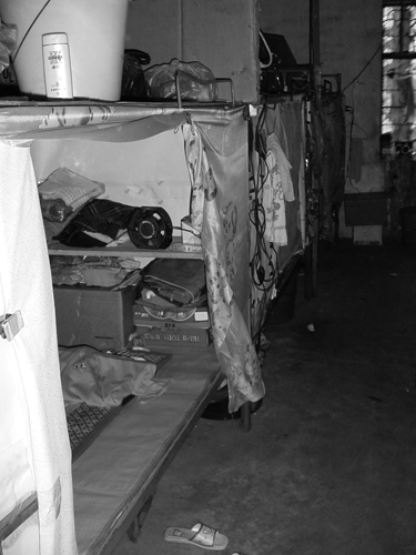 Иллюстрация к книге — Планета свалок. Путешествия по многомиллиардной мусорной индустрии [i_020.jpg]