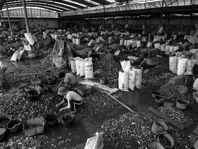 Иллюстрация к книге — Планета свалок. Путешествия по многомиллиардной мусорной индустрии [i_022.jpg]