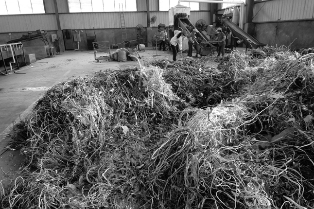 Иллюстрация к книге — Планета свалок. Путешествия по многомиллиардной мусорной индустрии [i_041.jpg]