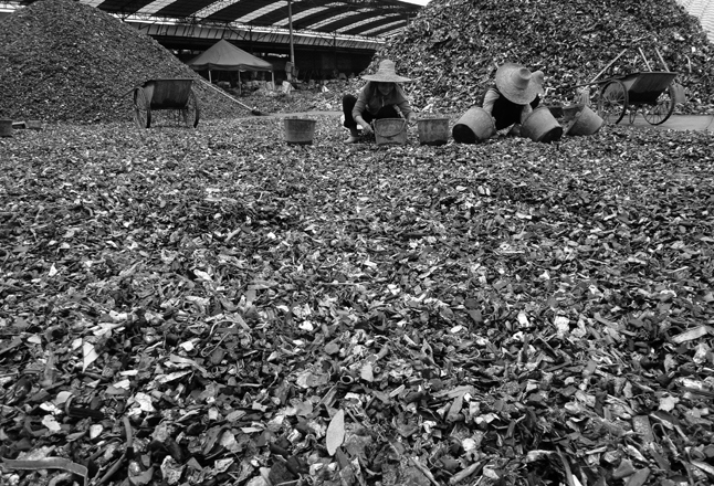 Иллюстрация к книге — Планета свалок. Путешествия по многомиллиардной мусорной индустрии [i_065.jpg]