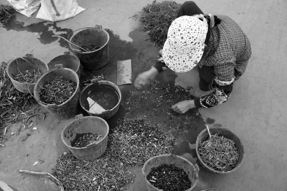 Иллюстрация к книге — Планета свалок. Путешествия по многомиллиардной мусорной индустрии [i_066.jpg]