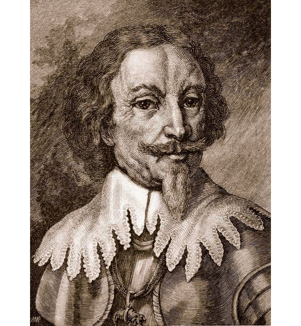 Иллюстрация к книге — Тридцатилетняя война [image10_5d6ec603d3aa6f0007c3899f_jpg.jpg]