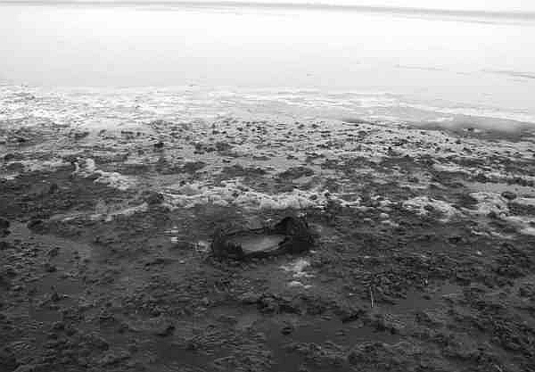 Иллюстрация к книге — Оборона Крыма 1941 г. Прорыв Манштейна [i_011.jpg]