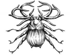 Иллюстрация к книге — Сиротки [i_012.jpg]