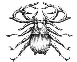 Иллюстрация к книге — Сиротки [i_043.jpg]