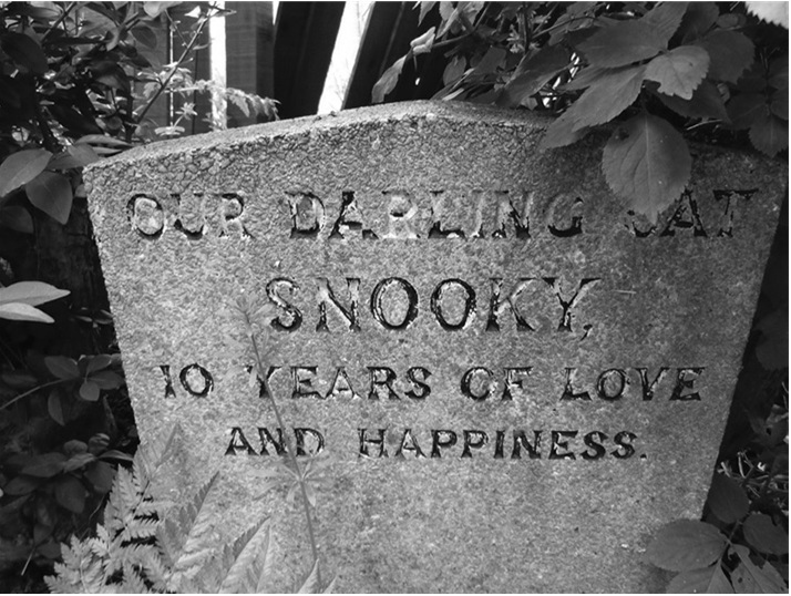 Иллюстрация к книге — Смерть, ритуал и вера. Риторика погребальных обрядов [i_008.jpg]