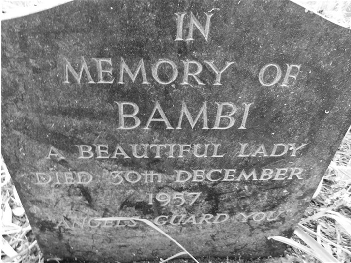 Иллюстрация к книге — Смерть, ритуал и вера. Риторика погребальных обрядов [i_011.jpg]