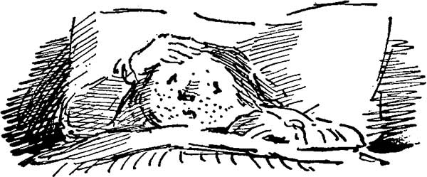 Иллюстрация к книге — Моя ужасная няня [i_016.jpg]