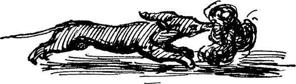 Иллюстрация к книге — Моя ужасная няня [i_023.jpg]