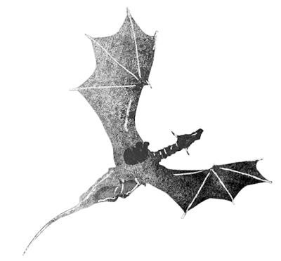 Иллюстрация к книге — Курмо загадывает желание [img44d.jpg]