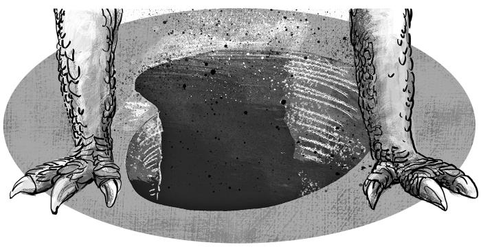 Иллюстрация к книге — Курмо загадывает желание [img8262.jpg]