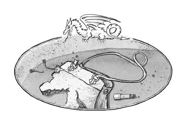 Иллюстрация к книге — Рождение дракона [i_011.jpg]
