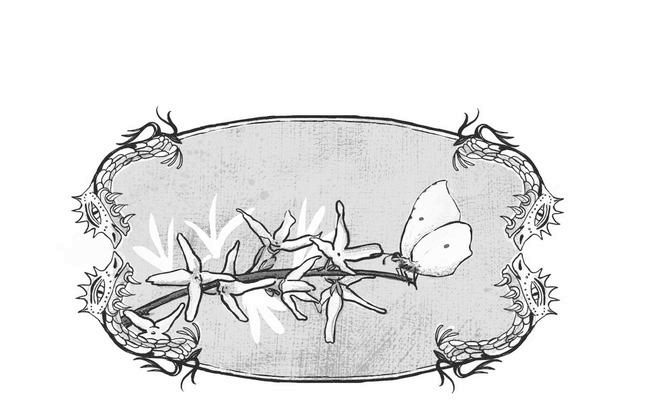 Иллюстрация к книге — Рождение дракона [i_031.jpg]