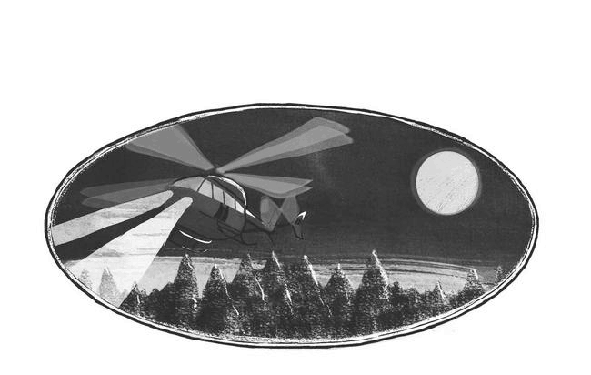 Иллюстрация к книге — Рождение дракона [i_036.jpg]