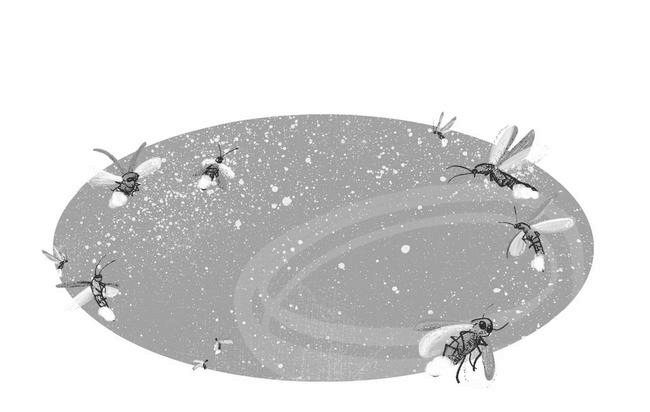 Иллюстрация к книге — Рождение дракона [i_045.jpg]