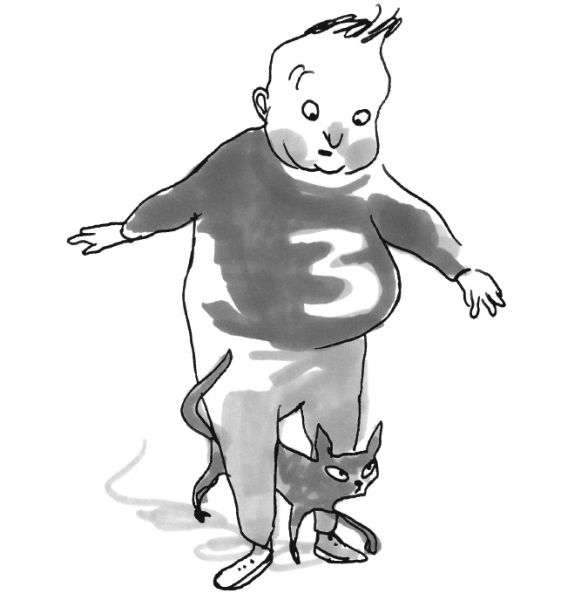 Иллюстрация к книге — Хедвиг и ночные жабы [i_007.jpg]