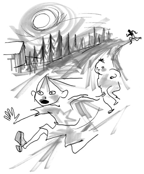 Иллюстрация к книге — Хедвиг и ночные жабы [i_010.jpg]