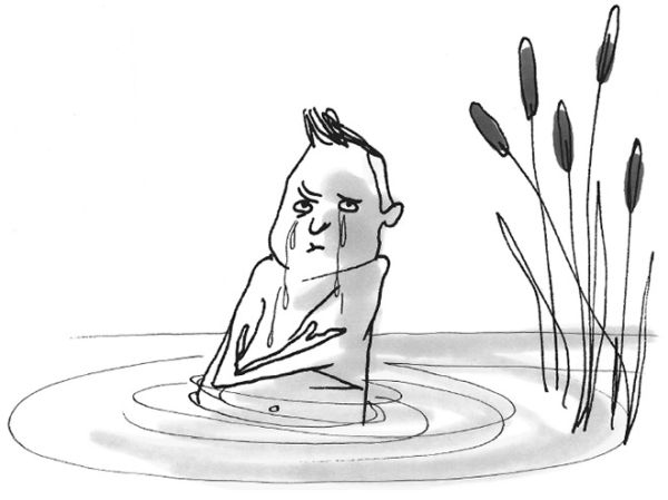 Иллюстрация к книге — Хедвиг и ночные жабы [i_021.jpg]