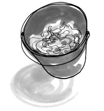 Иллюстрация к книге — Хедвиг и ночные жабы [i_029.jpg]