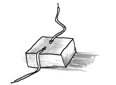 Иллюстрация к книге — Хедвиг и прекрасная принцесса [i_013.jpg]