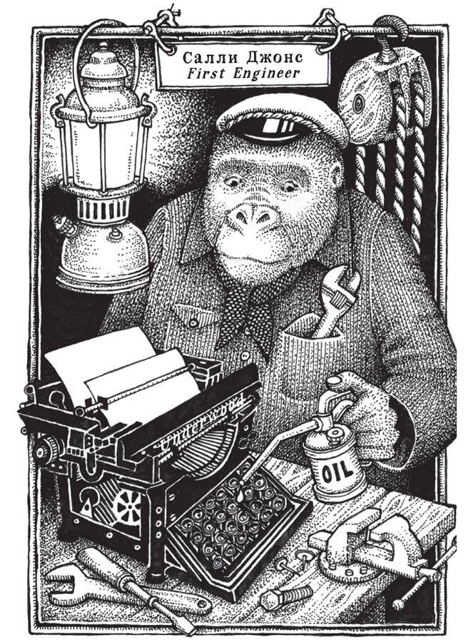 Иллюстрация к книге — Новые странствия Салли Джонс [i_001.jpg]