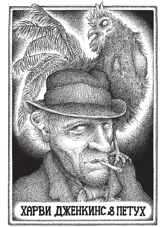 Иллюстрация к книге — Новые странствия Салли Джонс [i_006.jpg]