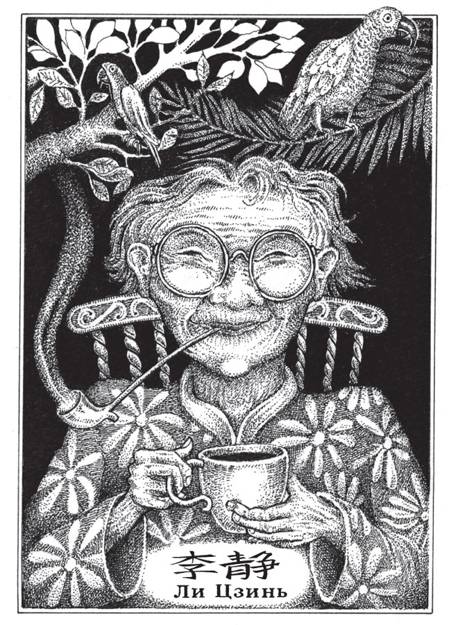 Иллюстрация к книге — Новые странствия Салли Джонс [i_007.jpg]