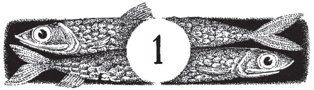 Иллюстрация к книге — Новые странствия Салли Джонс [i_022.jpg]