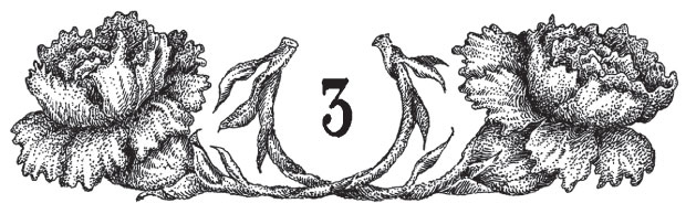 Иллюстрация к книге — Новые странствия Салли Джонс [i_024.jpg]