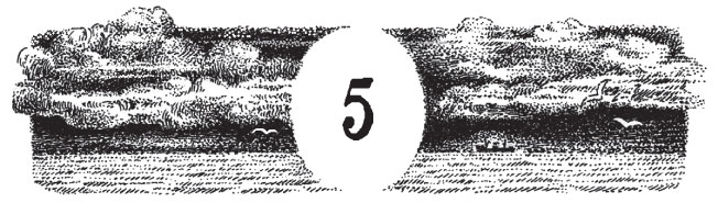 Иллюстрация к книге — Новые странствия Салли Джонс [i_026.jpg]