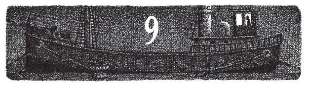 Иллюстрация к книге — Новые странствия Салли Джонс [i_030.jpg]