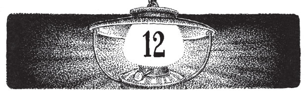 Иллюстрация к книге — Новые странствия Салли Джонс [i_033.jpg]