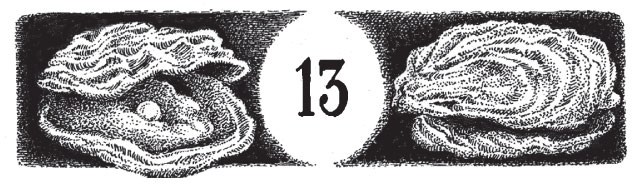 Иллюстрация к книге — Новые странствия Салли Джонс [i_034.jpg]